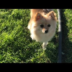 Meet your Posher, Daniel